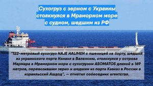 Сухогруз с зерном с Украины столкнулся в Мраморном море с судном, шедшим из РФ