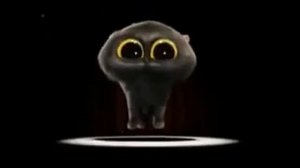 Пи па па пара по Котик