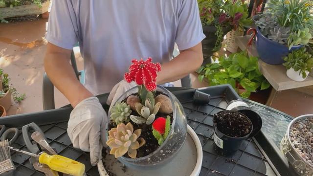 First Attempt to Make A Terrarium смотреть онлайн