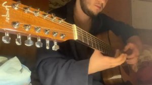 12 струнная гитара/12 strings guitar