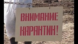 На жителя Оренбургского района напал бешеный ёж