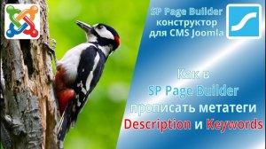 Как в SP Page Builder прописать мета теги description и keywords для страницы шаблона JoomShaper