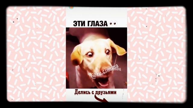 ПОЧЕМУ Я НЕ БУДУ БОЛЬШЕ ИГРАТЬ В АВАКИН ЛАЙФ?! смотреть онлайн