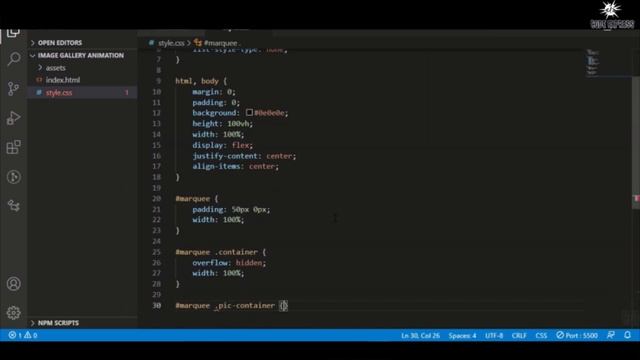 Image Gallery (Marquee Effect) Animation Using By HTML And CSS | CodeExpress