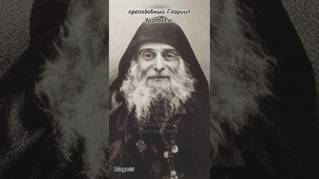 #православие #religion #гавриилургебадзе #подпишись #shortvideo #грузия #любовь #старец