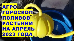 Агрогороскоп поливов растений на апрель 2023 года. Агрогороскоп поливів на квітень 2023 року