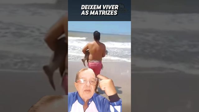 INACREDITÁVEL CORVINA NEGRA DE 20 KG FOI PRA VIDA! #pescaria #pesca #praia #mar #materialdepesca смотреть онлайн