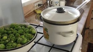 Способ хранения брюссельской капусты