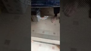 Прошлогодний замороженный крыжовник и открытый пирог с ним же.