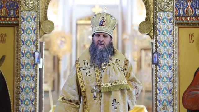 Проповедь митрополита Даниила в неделю Всех Святых. Александро-Невский кафедральный собор смотреть онлайн