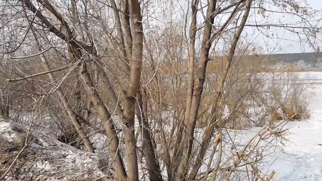 Река Томь в Кемерово начинает очищаться от льда Tom river in Kemerovo gets rid of ice