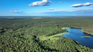 Мы снова здесь!!!.webm