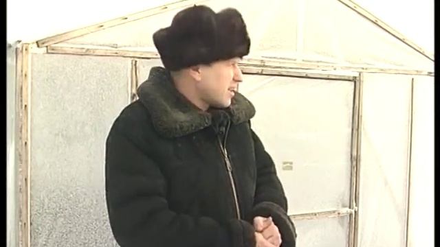 Плёночная теплица зимой
