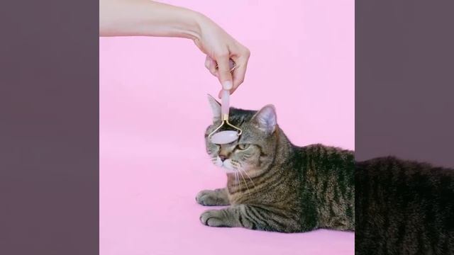 Студия лазерной эпиляции Красноярск EKO — LASER создаёт для вас уютную атмосферу добра и заботы. смотреть онлайн