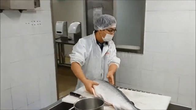 Филетировочная машина для крупных размеров рыбы GB-185 смотреть онлайн