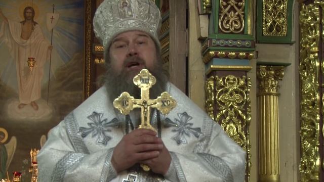 Проповедь епископа Максима на Литургии в праздник Крещения Господня смотреть онлайн
