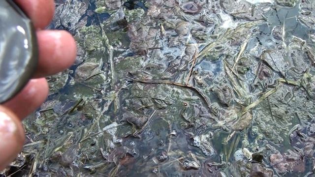 КОП МОНЕТ И СТАРИНЫ НА УРОЧИЩЕ. ПОИСК КЛАДА С МЕТАЛЛОИСКАТЕЛЕМ. НАХОДКИ СТАРИНЫ. XP DEUS 2.