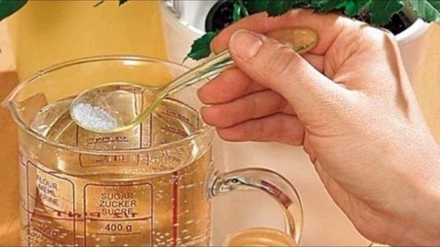 Янтарная кислота для комнатных цветов смотреть онлайн