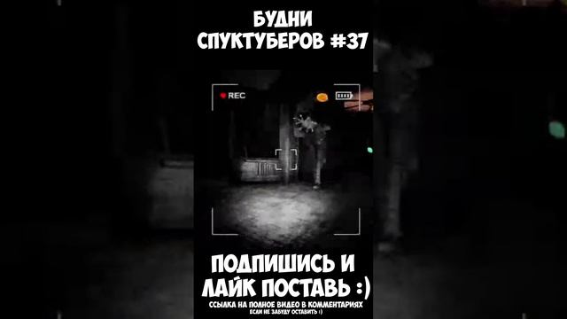 Будни спуктуберов #37 | Content Warning #contentwarning #gaming #игры #будни #games #game