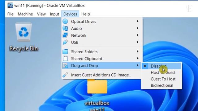 Drag And Drop Between Windows 10/11 And VirtualBox /How To Enable Drag Drop