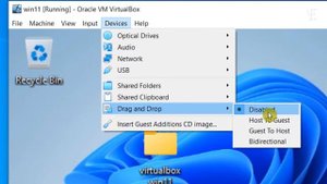 Drag and Drop between Windows 10/11 and VirtualBox /How to Enable Drag Drop