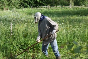 4Х! Он знает , что делать!