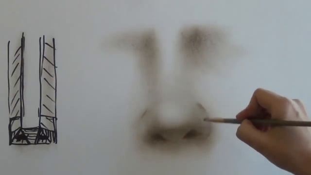 КАК научиться РИСОВАТЬ  Рисуем НОС
