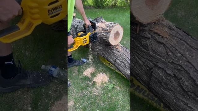 DeWalt FlexVolt 20” Chain Saw