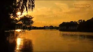 Всему Своё время.