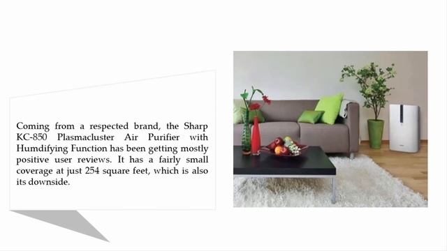 Best Air Purifier And Humidifier 2021 смотреть онлайн