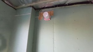 Рекуператор Вентиляция в любом доме ЛЕГКО БЫСТРО и ЕФИКТИВНО