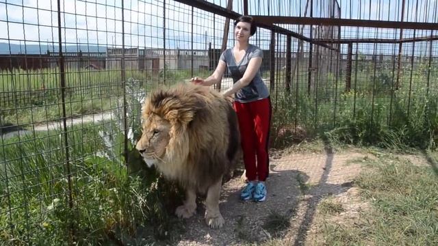 Лев Марсель танцует под аккомпанемент Олега Зубкова !