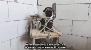 Детектив Мопски 7 Серия