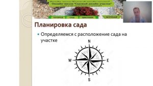 Закладка плодового сада. Планировка. Подготовка почвы.