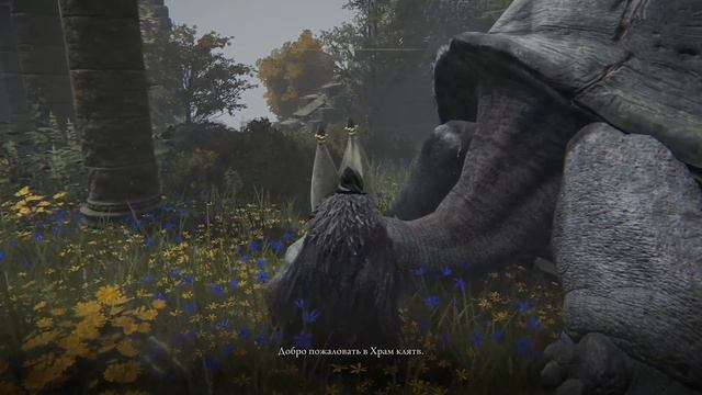 Elden Ring : Где Найти Золотая Швейная игла!  ?! | Гайд ?
