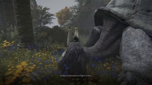 Elden Ring : Где Найти Золотая Швейная игла!  ?! | Гайд ?