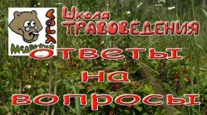 Школа травоведения: ОТВЕТЫ НА ВОПРОСЫ