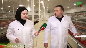 Ученые выяснили мясо какого кролика самое вкусное