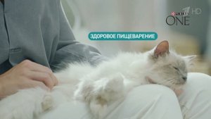 Purina One - Реклама