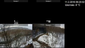 Архив веб-камер в Парке леопарда за 11.02.2016