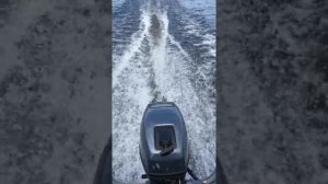 Моторная лодка прогресс c мотором Yamaha 9.9 ( раздушеный до 15 л.с.)