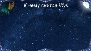 К чему снится Жук (Сонник)