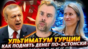 УЛЬТИМАТУМ ТУРЦИИ ИЛИ КАК У ЭРДОГАНА СОН ПРОПАЛ | УЧИМСЯ У ЭСТОНИИ, КАК ДЕНЕГ ПОДНЯТЬ