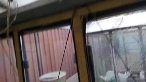 теплица из стеклопакетов