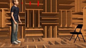 САМАЯ ТИХАЯ КОМНАТА В МИРЕ