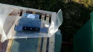 Пихтовое масло для пчелиных семей