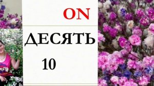 Турецкий  язык  с  нуля . Цифры  и  числа - Rakamlar  ve  sayılar , сокращеная  версия .