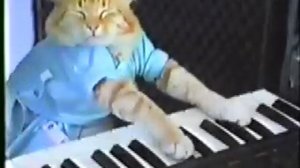 Keyboard Cat! - THE ORIGINAL!