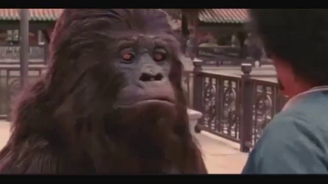 double dhamaal gorilla scene Bollywood comedy scene смотреть онлайн