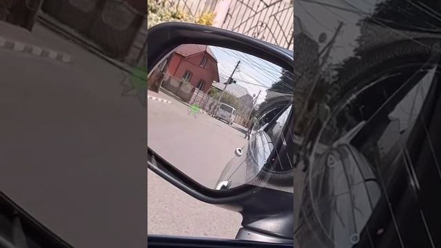 Могилизация_ До последнего чуба...